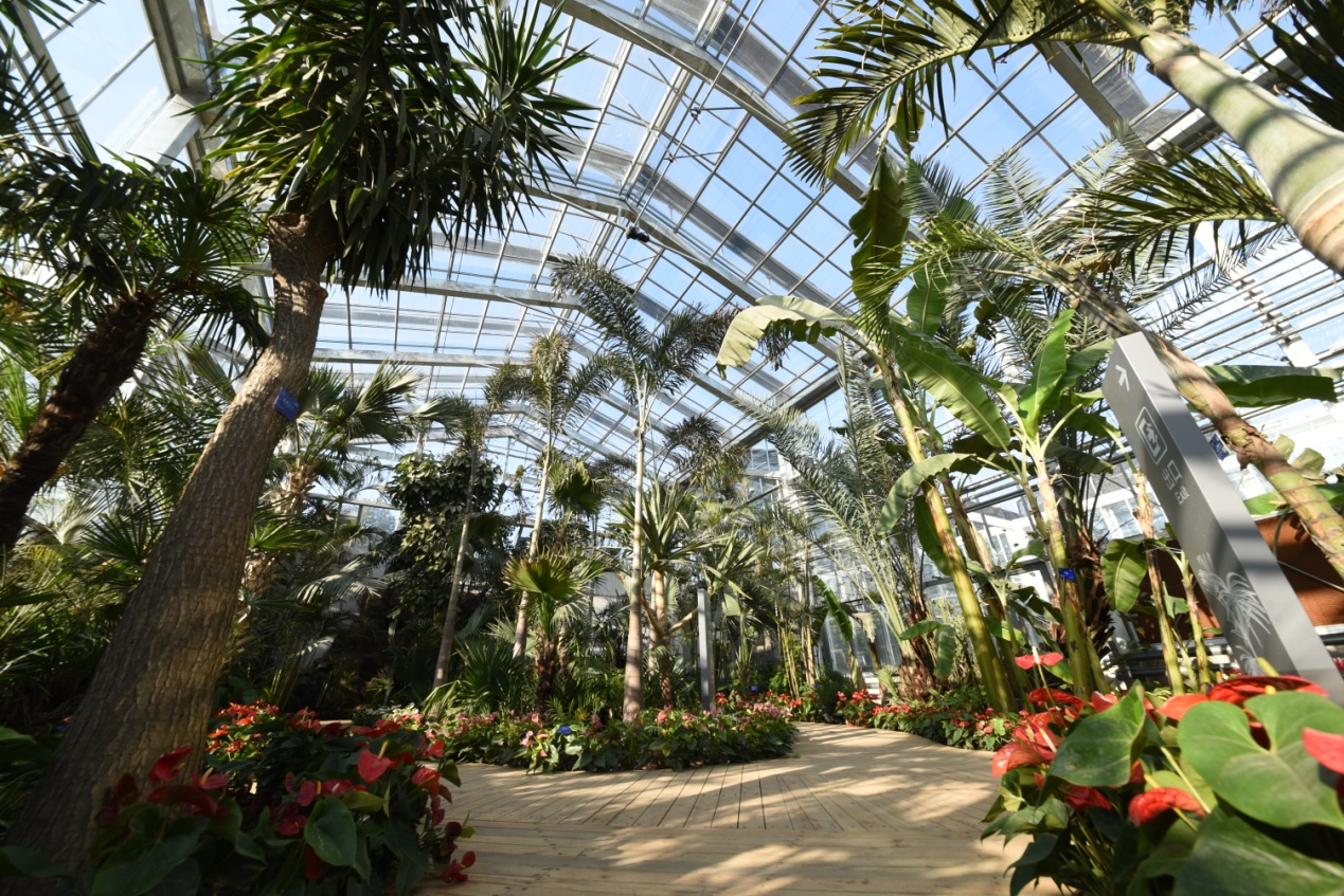 植物所北京植物园展览温室完成修缮,重新面向公众开放