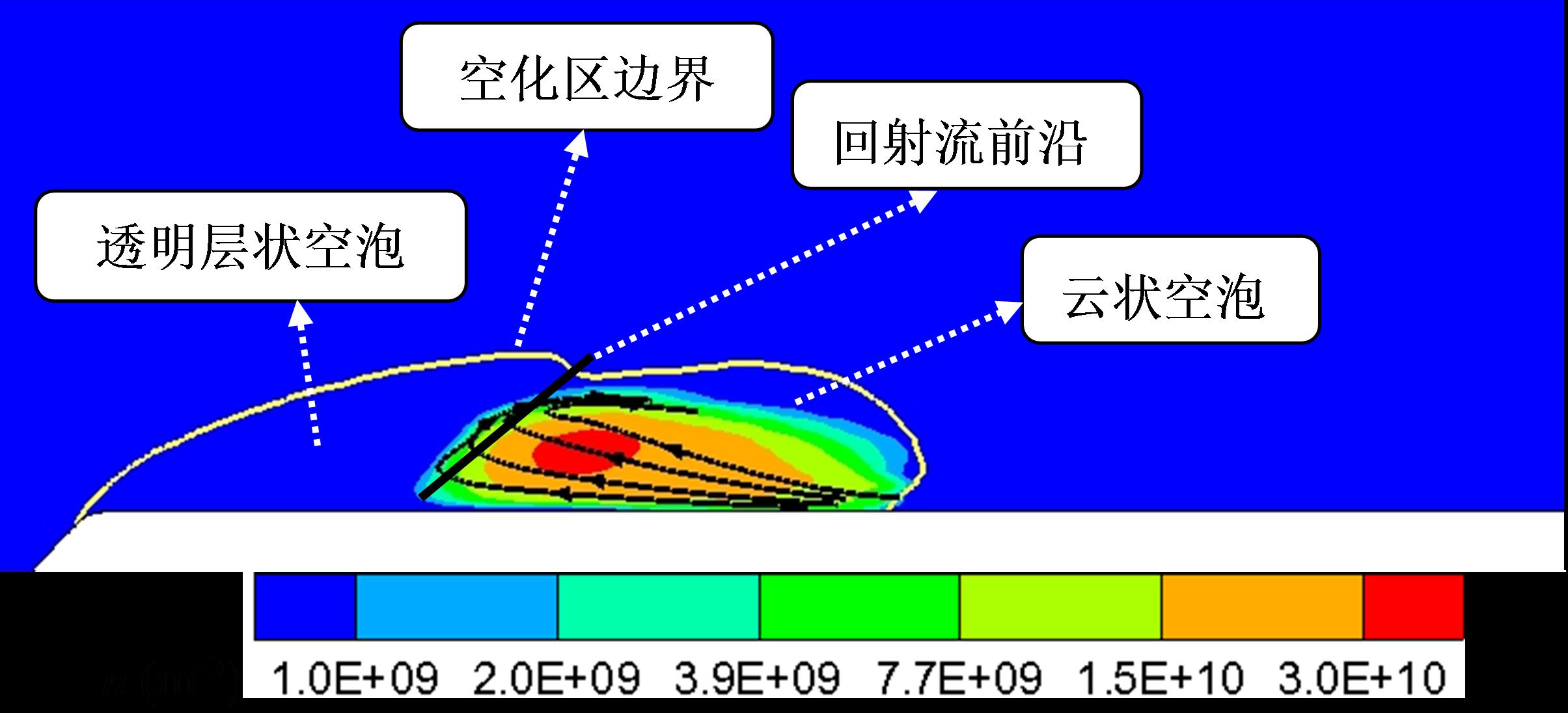 空化核图片